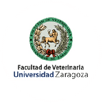 university-zaragoza-150x150