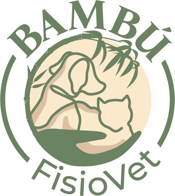 🇪🇸 Dr. Franc Renart Suay