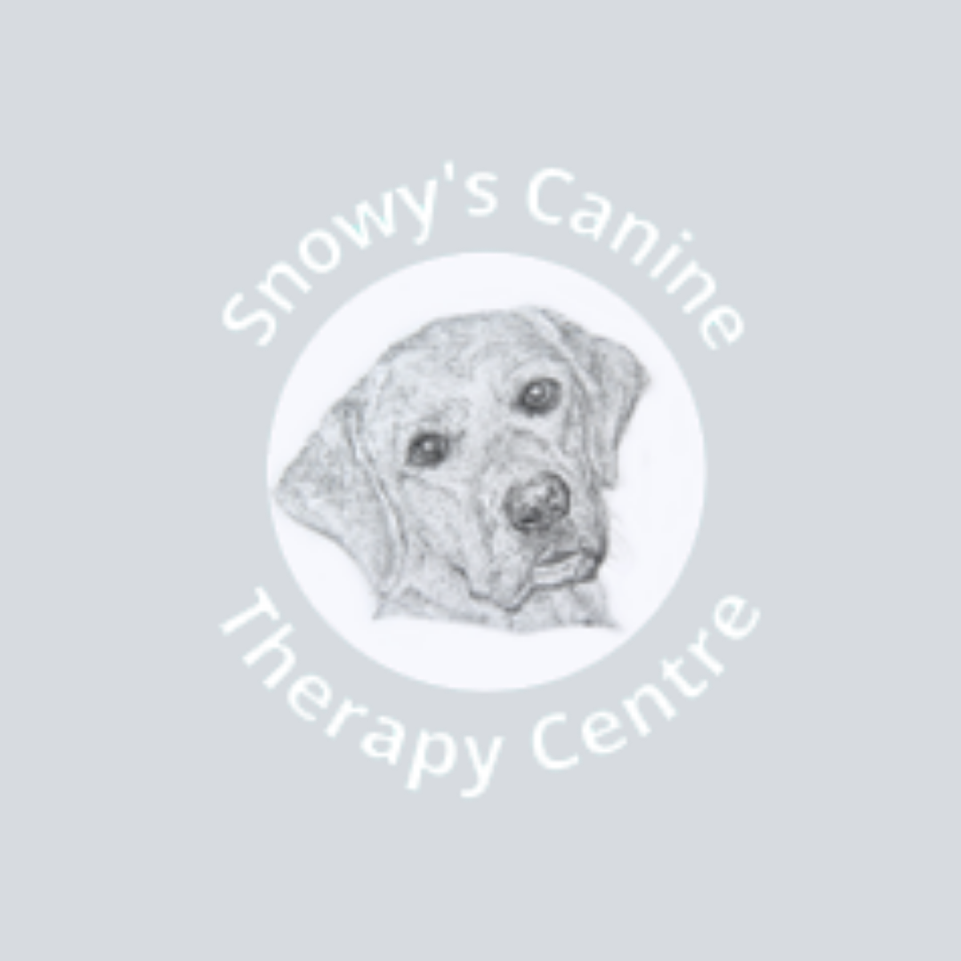 🇬🇧 Snowy's Canine Therapy Centre