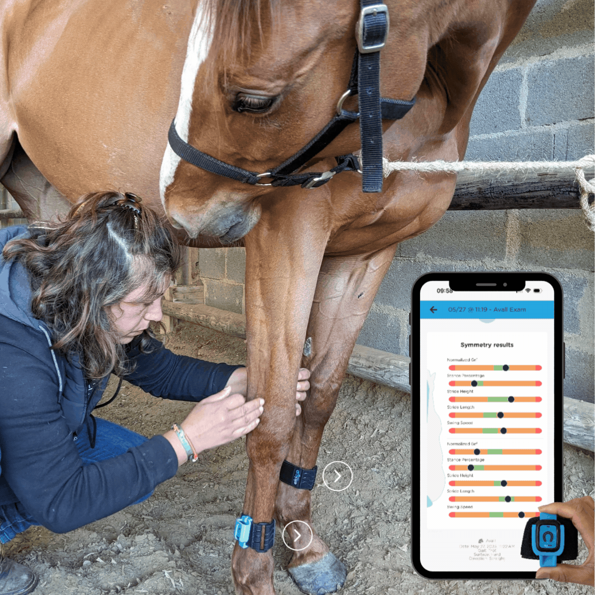 home-tendiboots-equine