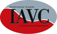 iavc-logo