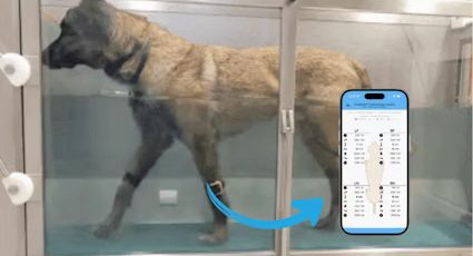 webinar-tendiboots-hydro